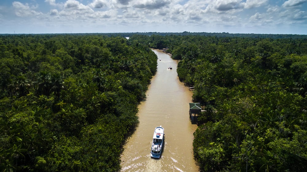 Applied Genomics, eDNA, biodiversity, Aerial View of Amazon River in Belem do Para, Brazil