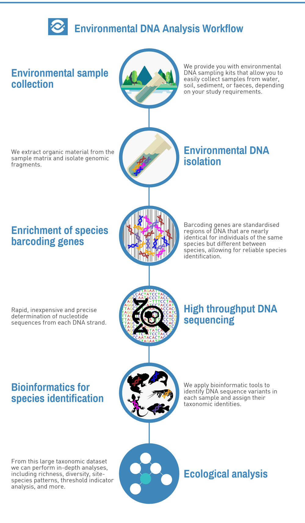 eDNA Analysis Workflow
