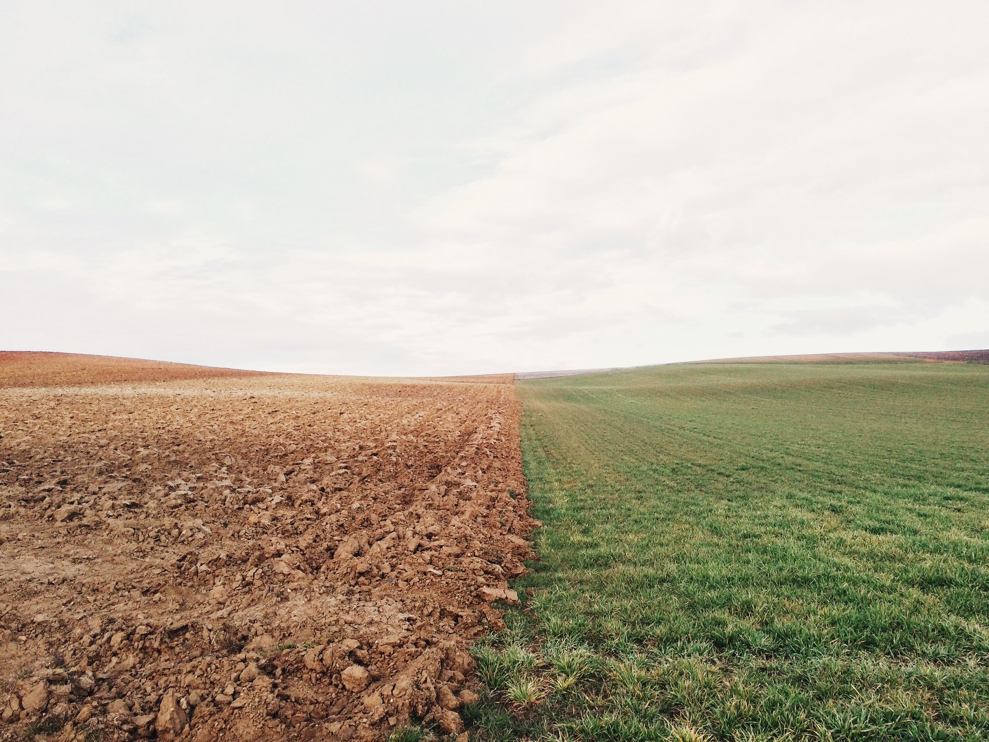 Applied Genomics, eDNA, biodiversity, site regeneration, mage of soil