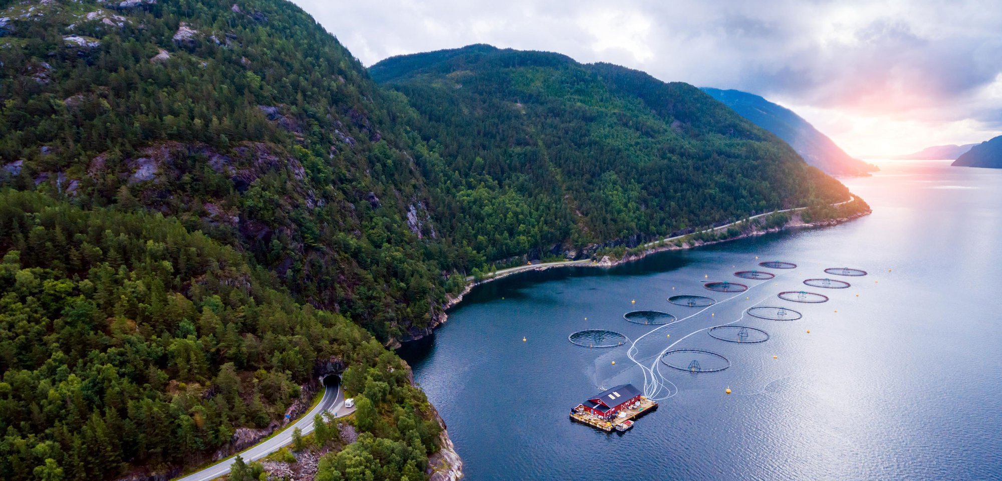 Applied Genomics, eDNA, biodiversity, Aquaculture fish farm scenery