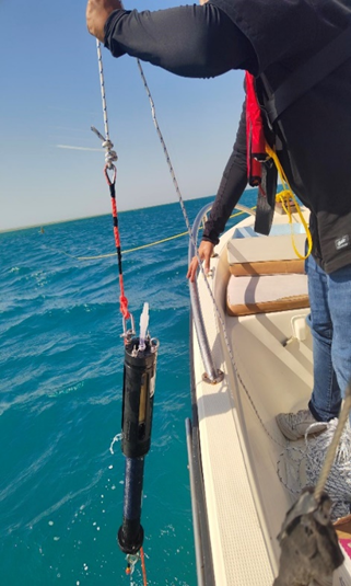 AppliedGenomics_inDepth_Sampler