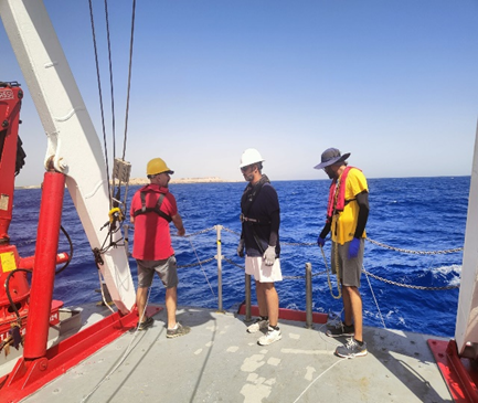 Deploying_inDepth_Sampler