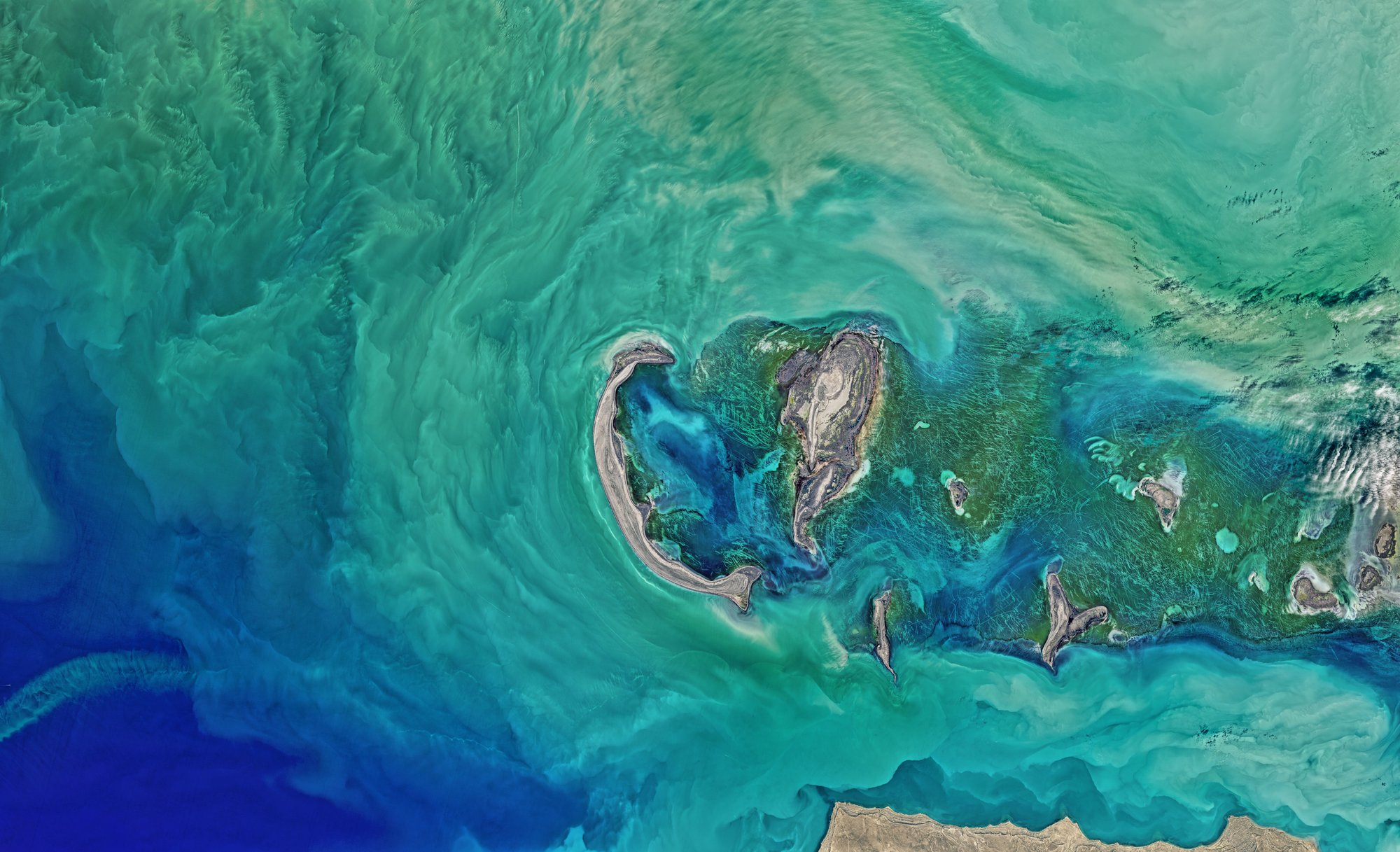 Applied Genomics, eDNA, biodiversity, aerial view of ocean