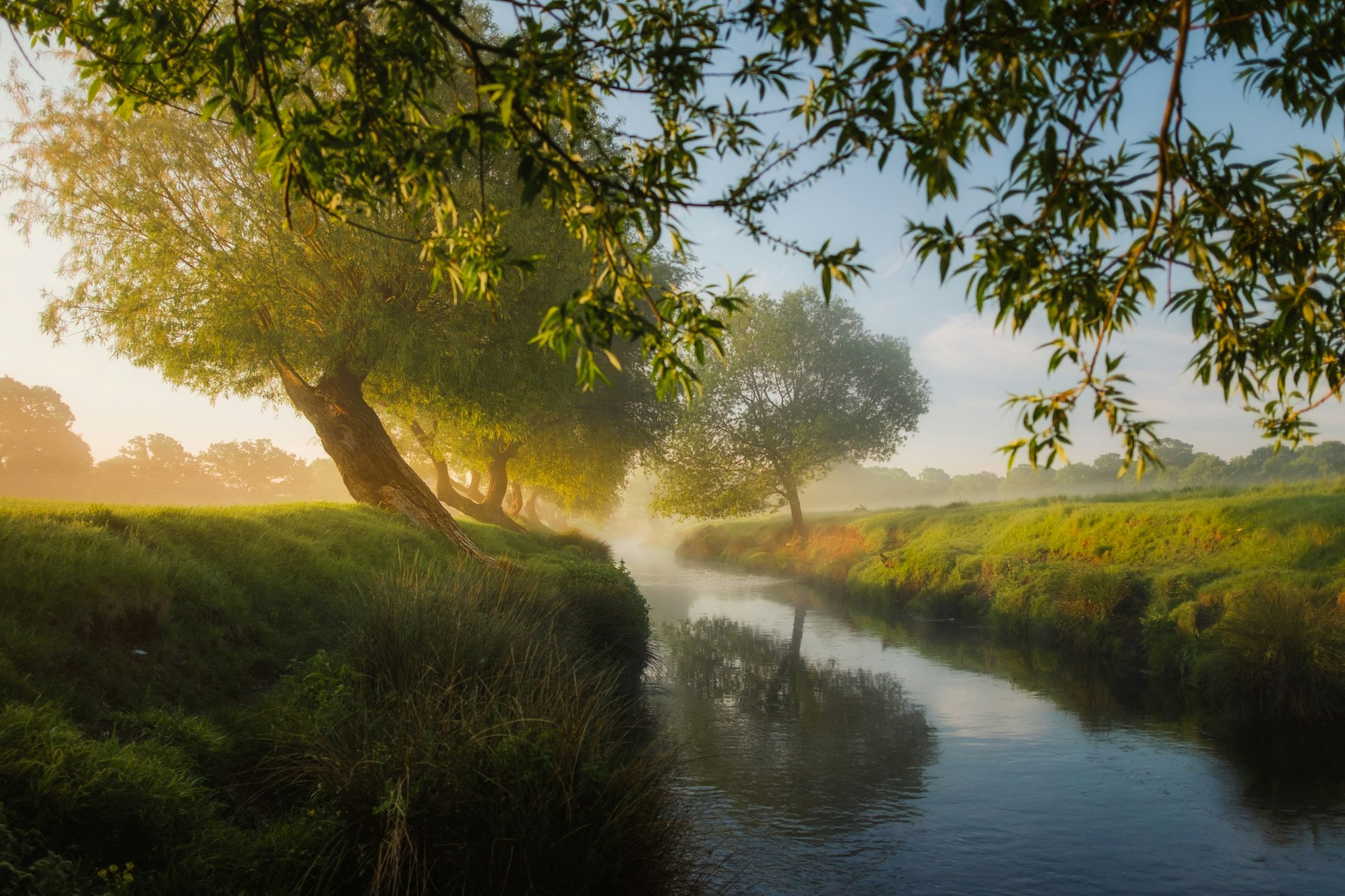 Applied Genomics, eDNA, biodiversity, Image of a beautiful river